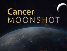Image result for Cancer Moonshot
