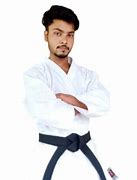 Image result for Martial Arts Animals