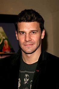 Image result for David Boreanaz