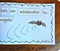 Image result for Bat Crafts for Preschool