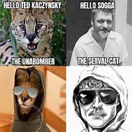 Image result for Ted Kaczynski Face App Meme