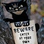 Image result for Signs with Cat Sayings