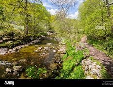 Image result for Photos Woodlands Brecon Beacons National Park