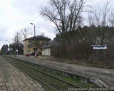 Image result for cykarzew