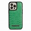 Image result for iPhone 13Pro Case Apple Images