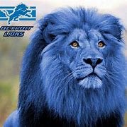 Image result for NFL Lions Lock Screen