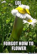 Image result for Flower Power Meme