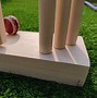 Image result for Cricket Christmas Gifts
