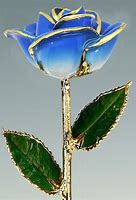 Image result for Blue Gold Rose