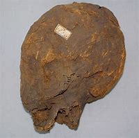 Image result for Mummy Skull