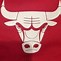 Image result for Bulls De Chicago