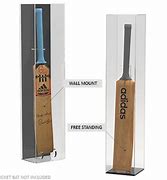 Image result for Acrylic Cricket Bat