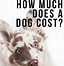 Image result for Cost of a Dog per Month
