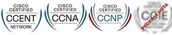 Image result for Cisco Certified Logo