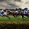 Image result for Horse Racing Desktop Backgrounds