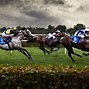 Image result for Racing Horse Photo No Background