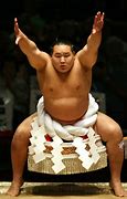 Image result for Pic of People Doing Sumo Wrestling