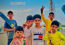 Image result for Frame Roof Cricket