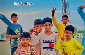 Image result for Roof Cricket