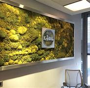 Image result for Preserved Moss Wall with Foliage