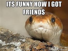 Image result for Happy Snake Meme