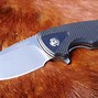 Image result for Small Pocket Knife D2 Blade