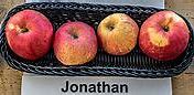 Image result for 3 Jonathon Apple's