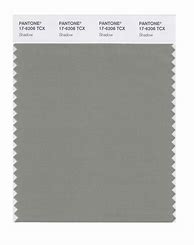Image result for Shadow Pantone