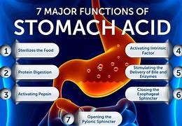 Image result for Acid From Stomach