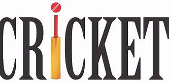 Image result for Best Cricket Logo