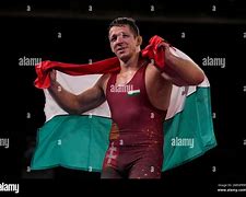 Image result for Greco-Roman Wrestling College