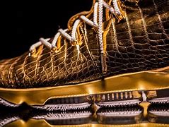 Image result for LeBron 2.0 Shoes