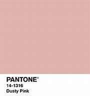 Image result for Dusty Pink Pantone