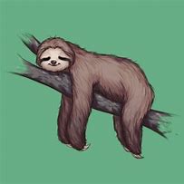 Image result for Laser Sloth