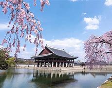 Image result for South Korea Photography