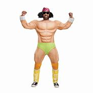 Image result for Easy WWF Costume