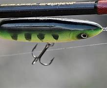 Image result for Hook Tyers Fishing