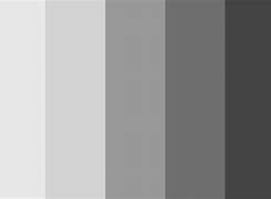 Image result for Gray Palette