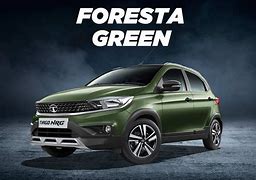 Image result for Tata Green