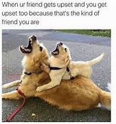 Image result for When You and Your Friend Memes