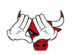 Image result for Chicago Bulls Snapback