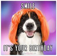 Image result for Funny Birthday Messages