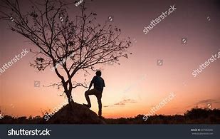 Image result for Silhouette Man Under Tree