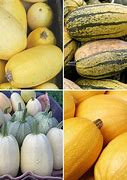 Image result for Green Striped Spaghetti Squash