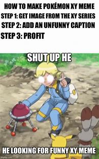 Image result for Pokemon XY Memes
