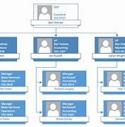 Image result for Visio Org Chart