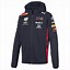 Image result for Red Bull Hoodie