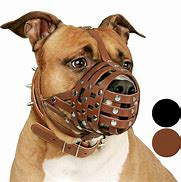 Image result for Working Dog Muzzle