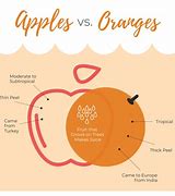 Image result for Apples and Oranges Comparison