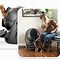 Image result for Litter Robot